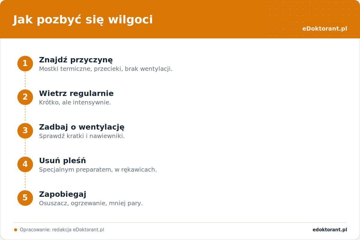 Jak pozbyć się wilgoci – infografika