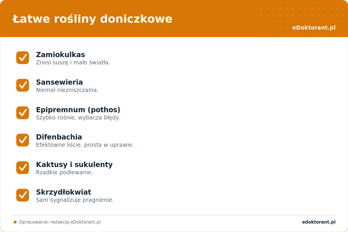 Łatwe rośliny doniczkowe – infografika